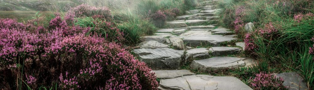 Tide & Time Editorial